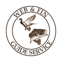 Web & Fin Guide Services